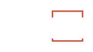 FluxIDs logo